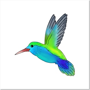 HUMMINGBIRD | MORICK | Posters and Art